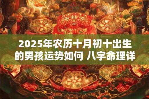 2025年农历十月初十出生的男孩运势如何 八字命理详细解析