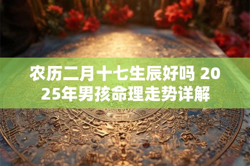 农历二月十七生辰好吗 2025年男孩命理走势详解
