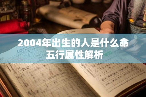 2004年出生的人是什么命 五行属性解析
