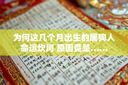 为何这几个月出生的属狗人命运坎坷 原因竟是……