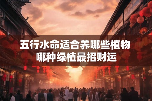 五行水命适合养哪些植物 哪种绿植最招财运