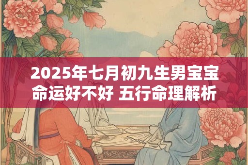 详细阅读:2025年七月初九生男宝宝命运好不好 五行命理解析 2025年七月初九生男宝宝命运好不好 五行命理解析