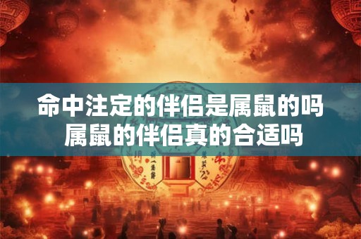 命中注定的伴侣是属鼠的吗 属鼠的伴侣真的合适吗