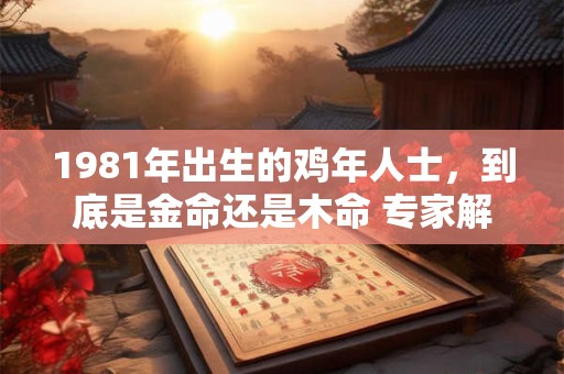 1981年出生的鸡年人士，到底是金命还是木命 专家解答