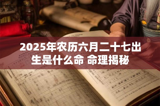 2025年农历六月二十七出生是什么命 命理揭秘