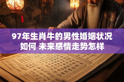 97年生肖牛的男性婚姻状况如何 未来感情走势怎样