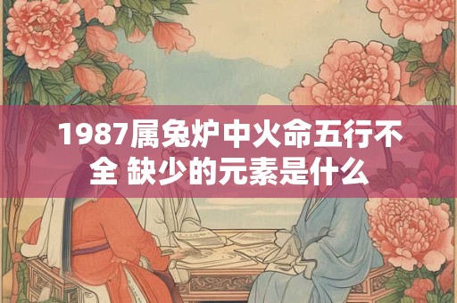 1987属兔炉中火命五行不全 缺少的元素是什么
