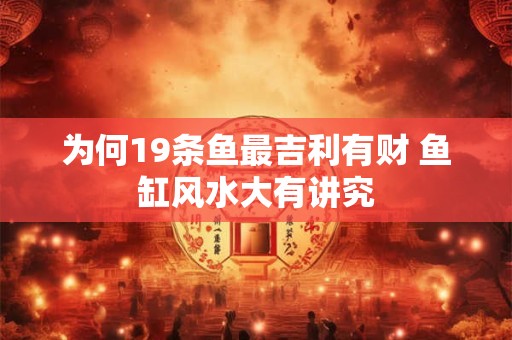为何19条鱼最吉利有财 鱼缸风水大有讲究