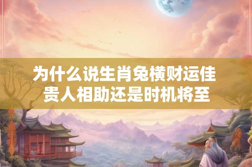 为什么说生肖兔横财运佳 贵人相助还是时机将至