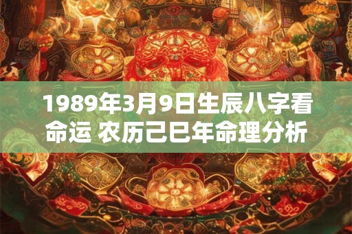 1989年3月9日生辰八字看命运 农历己巳年命理分析