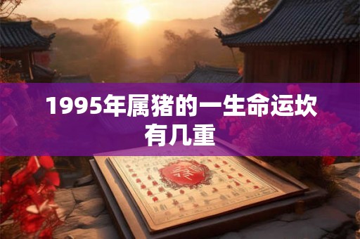 1995年属猪的一生命运坎有几重