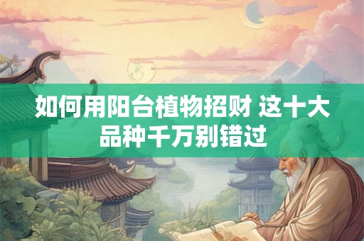 如何用阳台植物招财 这十大品种千万别错过