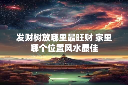 发财树放哪里最旺财 家里哪个位置风水最佳