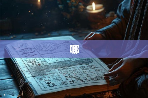 哪