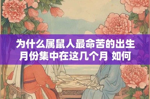 为什么属鼠人最命苦的出生月份集中在这几个月 如何化解