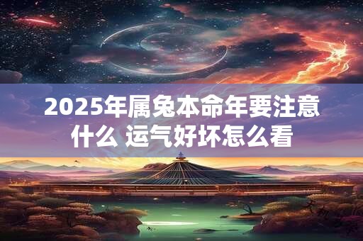 2025年属兔本命年要注意什么 运气好坏怎么看