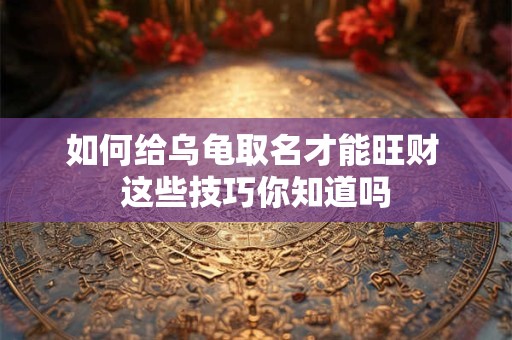 如何给乌龟取名才能旺财 这些技巧你知道吗