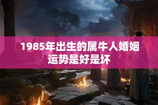 1985年出生的属牛人婚姻运势是好是坏