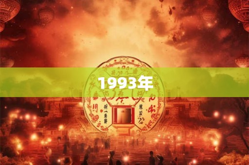 1993年