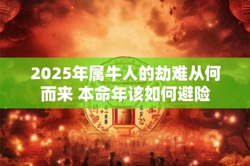 2025年属牛人的劫难从何而来 本命年该如何避险