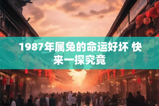 1987年属兔的命运好坏 快来一探究竟