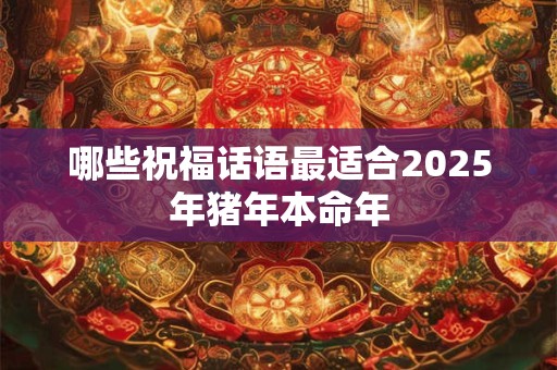 哪些祝福话语最适合2025年猪年本命年