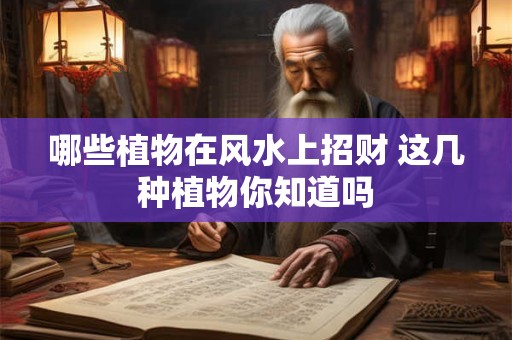哪些植物在风水上招财 这几种植物你知道吗