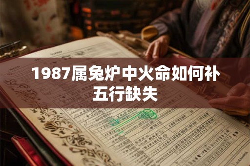 1987属兔炉中火命如何补五行缺失
