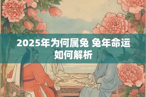 2025年为何属兔 兔年命运如何解析