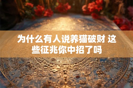 为什么有人说养猫破财 这些征兆你中招了吗