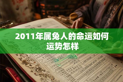 2011年属兔人的命运如何 运势怎样
