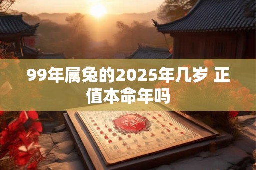 99年属兔的2025年几岁 正值本命年吗