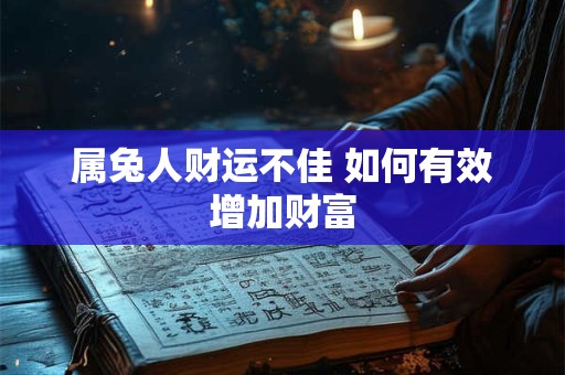 属兔人财运不佳 如何有效增加财富