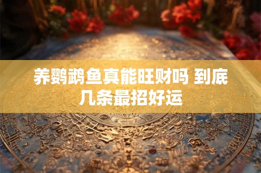 养鹦鹉鱼真能旺财吗 到底几条最招好运