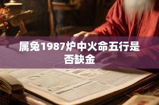 属兔1987炉中火命五行是否缺金