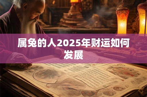 属兔的人2025年财运如何发展