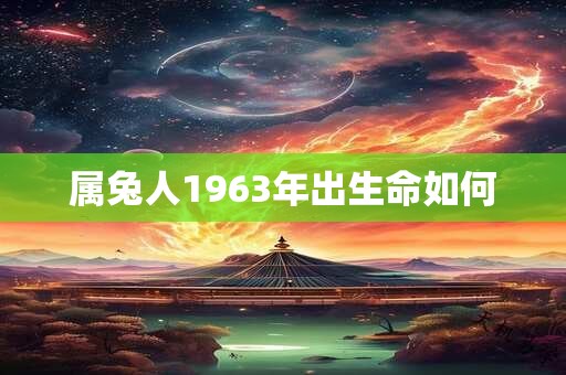 属兔人1963年出生命如何