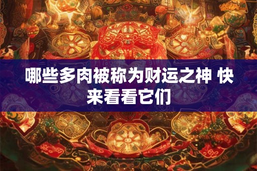 哪些多肉被称为财运之神 快来看看它们