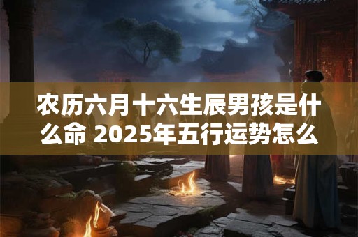 农历六月十六生辰男孩是什么命 2025年五行运势怎么看