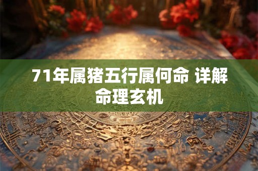 71年属猪五行属何命 详解命理玄机