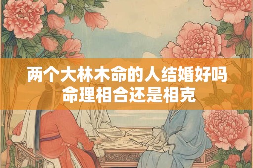 两个大林木命的人结婚好吗 命理相合还是相克