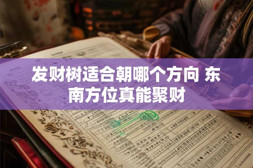 发财树适合朝哪个方向 东南方位真能聚财