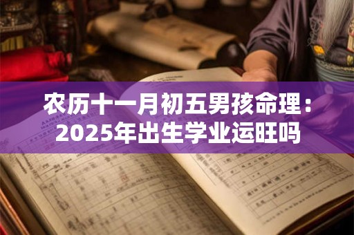 农历十一月初五男孩命理：2025年出生学业运旺吗