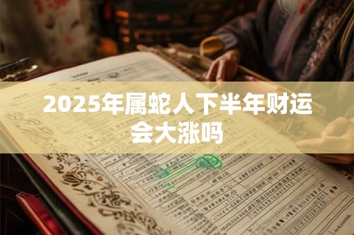 2025年属蛇人下半年财运会大涨吗