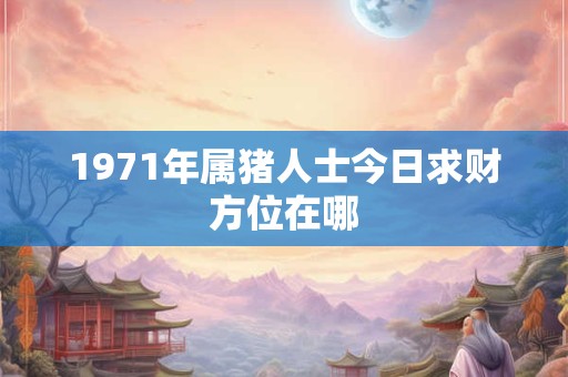 1971年属猪人士今日求财方位在哪