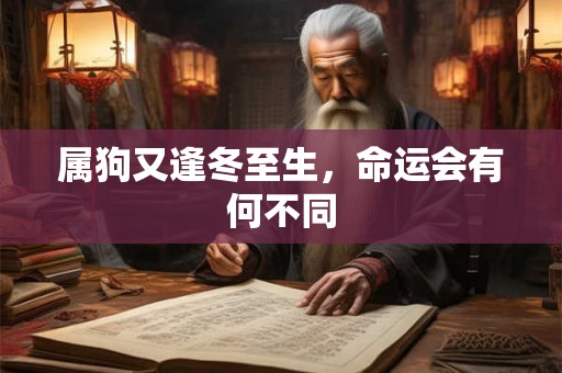 属狗又逢冬至生，命运会有何不同