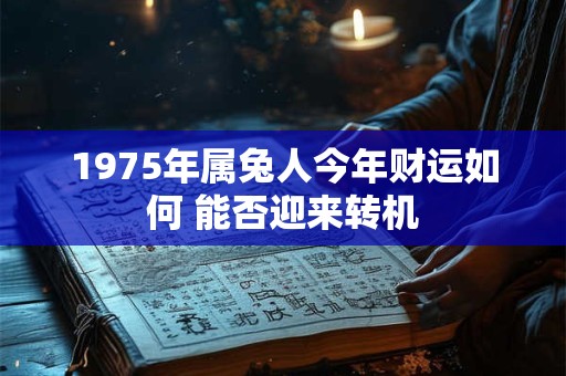 1975年属兔人今年财运如何 能否迎来转机