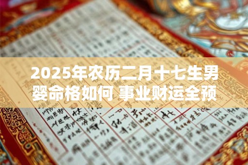 2025年农历二月十七生男婴命格如何 事业财运全预测