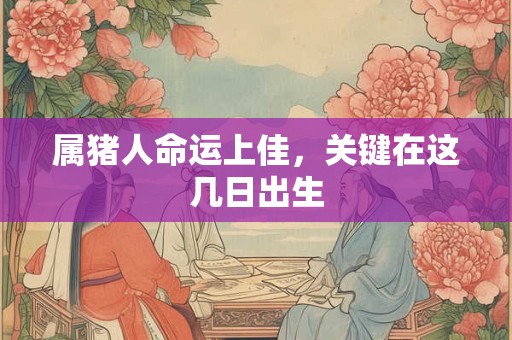 属猪人命运上佳，关键在这几日出生