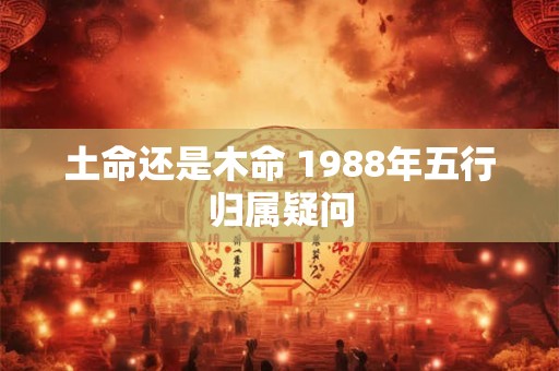 土命还是木命 1988年五行归属疑问
